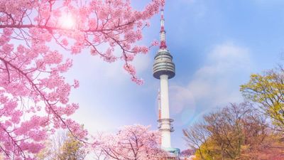 SEOUL - ĐẢO NAMI - CÔNG VIÊN EVERLAND - THÁP TRUYỀN HÌNH - THƯ VIỆN STARFIELD - Image - 7228